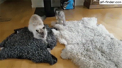 Просто гифки, всякие и разные Просто гифки, всякие и разные