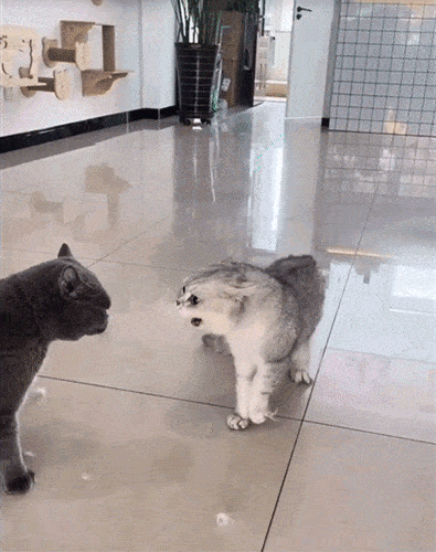 Просто гифки, всякие и разные Просто гифки, всякие и разные