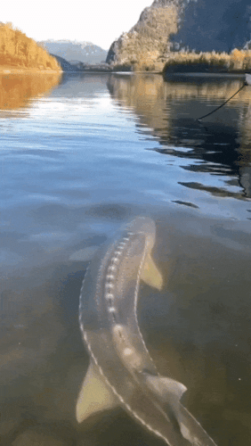 Просто гифки, всякие и разные Просто гифки, всякие и разные