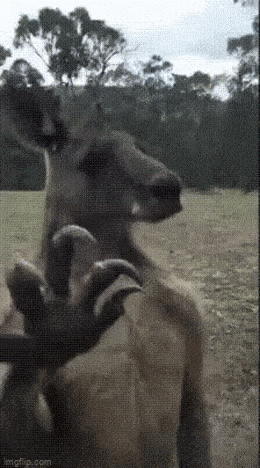 Просто гифки, всякие и разные Просто гифки, всякие и разные