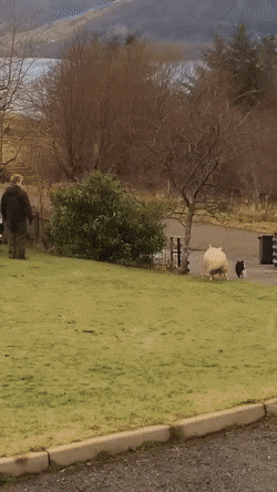 Просто гифки, всякие и разные Просто гифки, всякие и разные