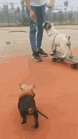 Просто гифки, всякие и разные Просто гифки, всякие и разные