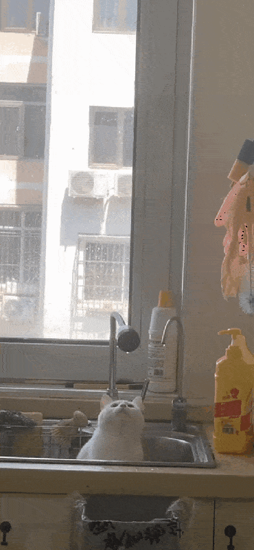 Просто гифки, всякие и разные Просто гифки, всякие и разные