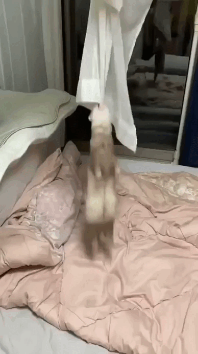 Просто гифки, всякие и разные Просто гифки, всякие и разные