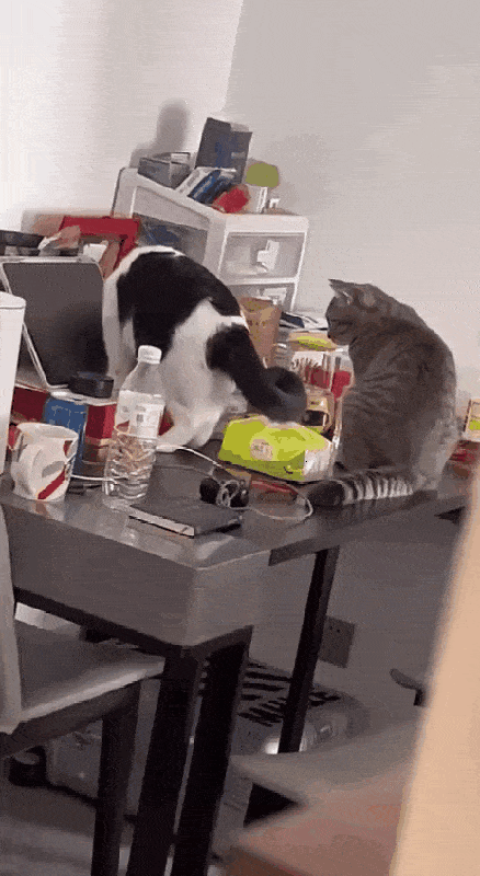 Просто гифки, всякие и разные Просто гифки, всякие и разные