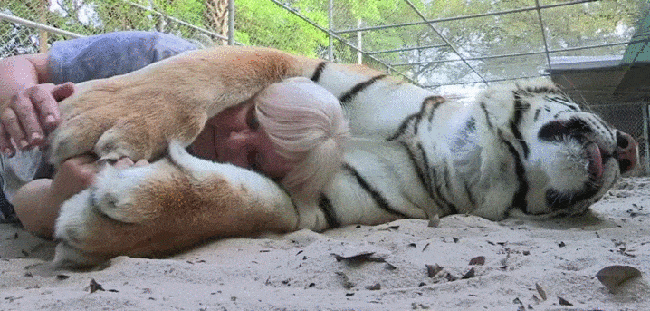 Просто гифки, всякие и разные Просто гифки, всякие и разные