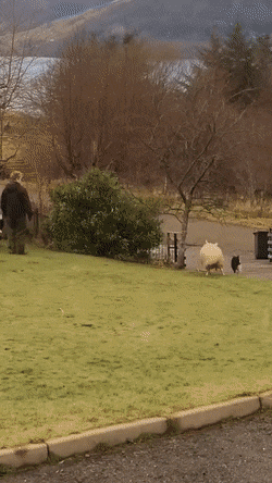 Просто гифки, всякие и разные Просто гифки, всякие и разные