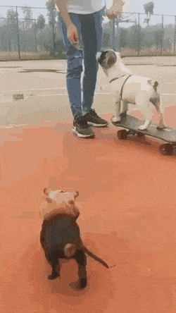 Просто гифки, всякие и разные Просто гифки, всякие и разные