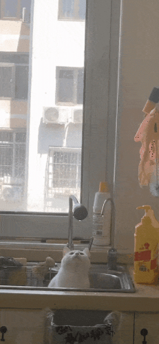 Просто гифки, всякие и разные Просто гифки, всякие и разные