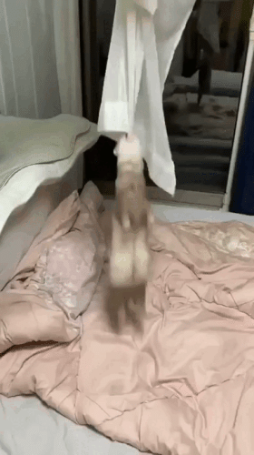 Просто гифки, всякие и разные Просто гифки, всякие и разные