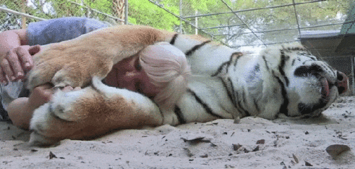 Просто гифки, всякие и разные Просто гифки, всякие и разные