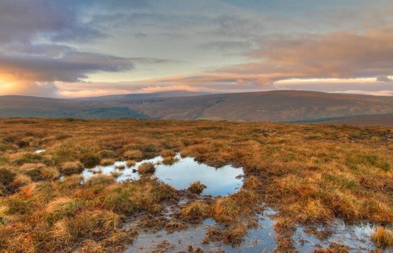 Тайна болотного масла: зачем в древности люди зарывали в трясину свои запасы? Тайна болотного масла: зачем в древности люди зарывали в трясину свои запасы?