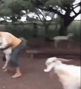 Мать в деле Мать в деле