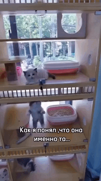 Просто гифки, всякие и разные Просто гифки, всякие и разные