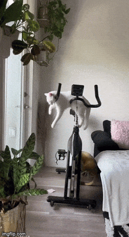 Просто гифки, всякие и разные Просто гифки, всякие и разные