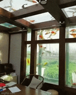 Просто гифки, всякие и разные Просто гифки, всякие и разные