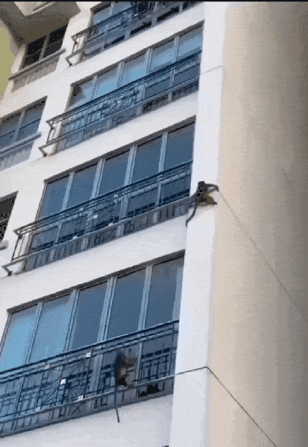 Просто гифки, всякие и разные Просто гифки, всякие и разные