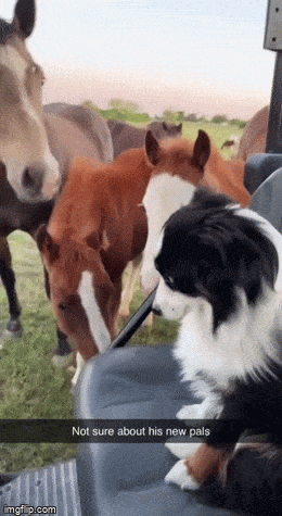 Просто гифки, всякие и разные Просто гифки, всякие и разные