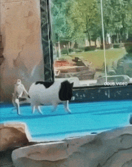 Просто гифки, всякие и разные Просто гифки, всякие и разные