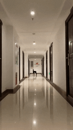 Просто гифки, всякие и разные Просто гифки, всякие и разные