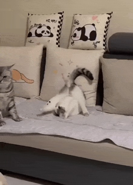 Просто гифки, всякие и разные Просто гифки, всякие и разные