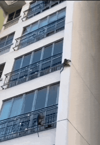 Просто гифки, всякие и разные Просто гифки, всякие и разные