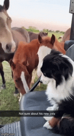 Просто гифки, всякие и разные Просто гифки, всякие и разные