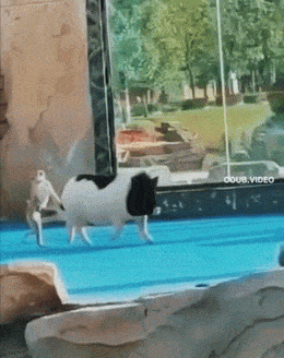 Просто гифки, всякие и разные Просто гифки, всякие и разные