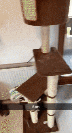 Просто гифки, всякие и разные Просто гифки, всякие и разные