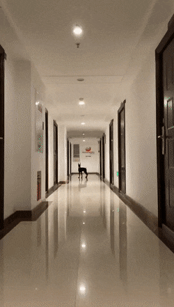 Просто гифки, всякие и разные Просто гифки, всякие и разные