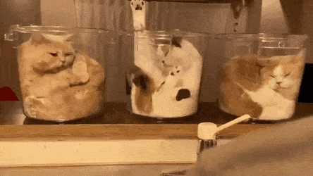 Просто гифки, всякие и разные Просто гифки, всякие и разные