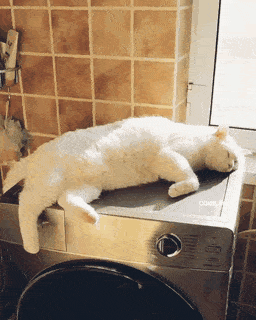 Просто гифки, всякие и разные Просто гифки, всякие и разные