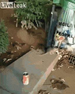 Просто гифки, всякие и разные Просто гифки, всякие и разные