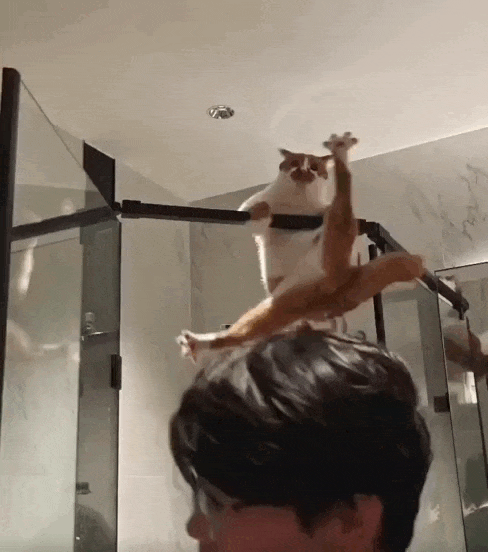 Просто гифки, всякие и разные Просто гифки, всякие и разные