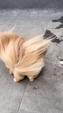 Просто гифки, всякие и разные Просто гифки, всякие и разные