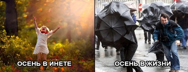 Подборка про осень