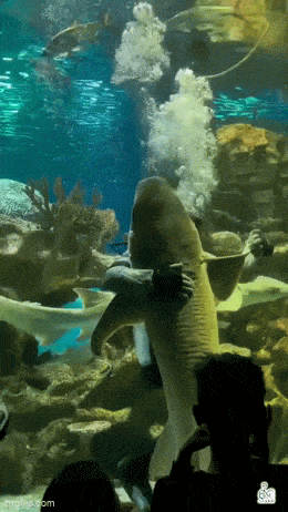 В ритме танца