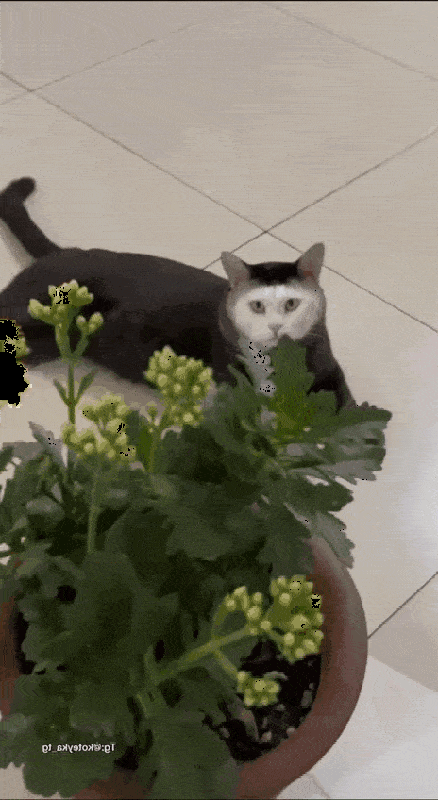 Просто гифки, всякие и&nbsp;разные