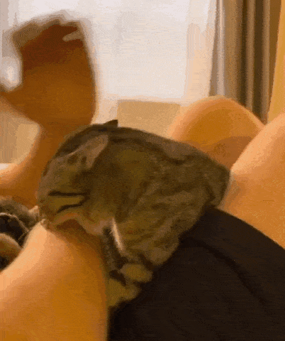 Просто гифки, всякие и&nbsp;разные