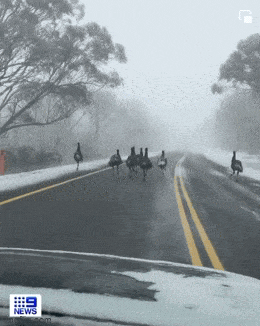 Просто гифки, всякие и&nbsp;разные