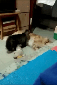 Просто гифки, всякие и&nbsp;разные