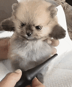 Просто гифки, всякие и&nbsp;разные