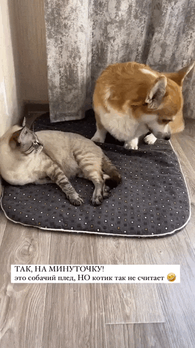 Просто гифки, всякие и&nbsp;разные