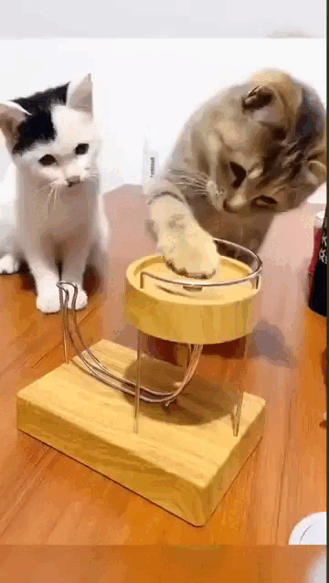 Просто гифки, всякие и&nbsp;разные