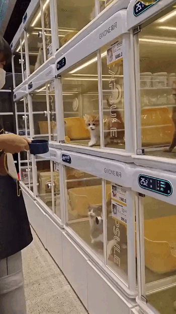 Просто гифки, всякие и&nbsp;разные