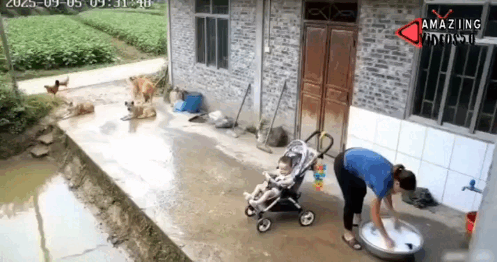 Просто гифки, всякие и&nbsp;разные