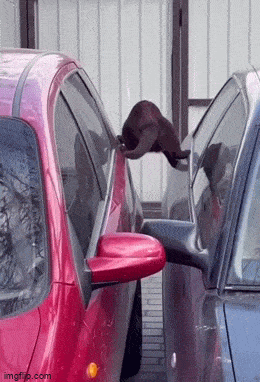 Просто гифки, всякие и&nbsp;разные