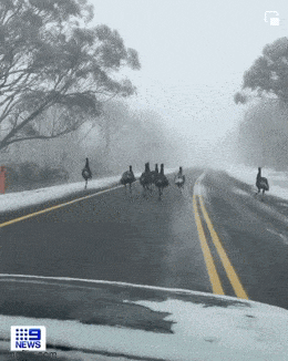 Просто гифки, всякие и&nbsp;разные