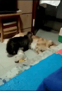 Просто гифки, всякие и&nbsp;разные