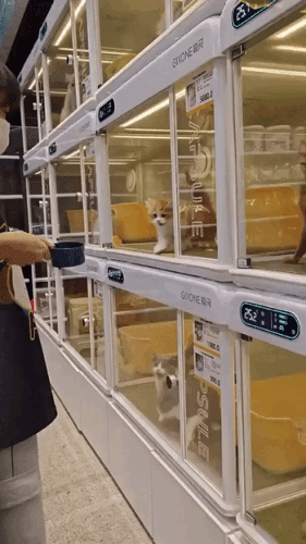 Просто гифки, всякие и&nbsp;разные